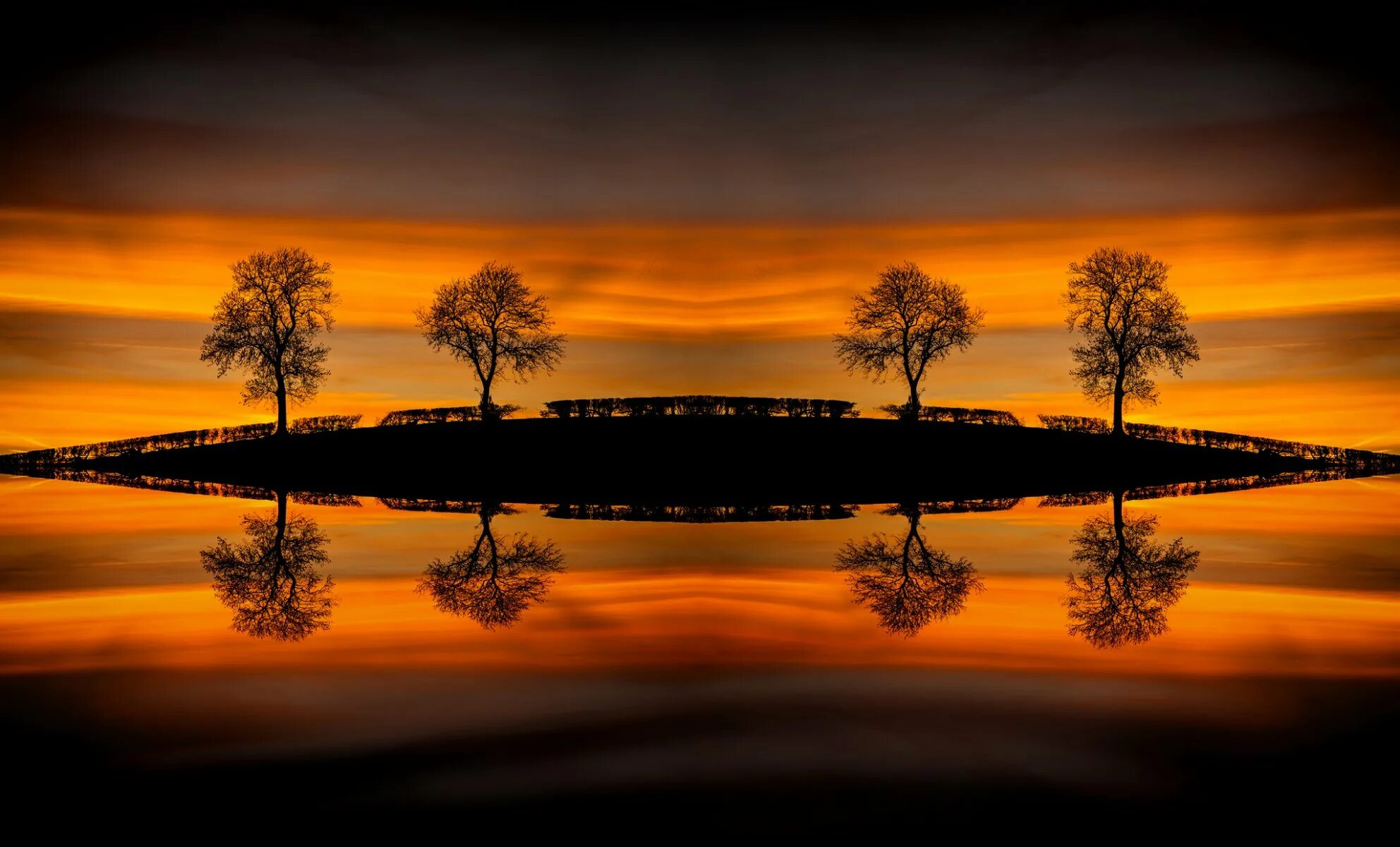 Отражение заката в воде. Отражение деревьев в воде. Дерево на закате. Деревья отражаются в воде.