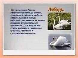 Лебеди литературное чтение 3 класс