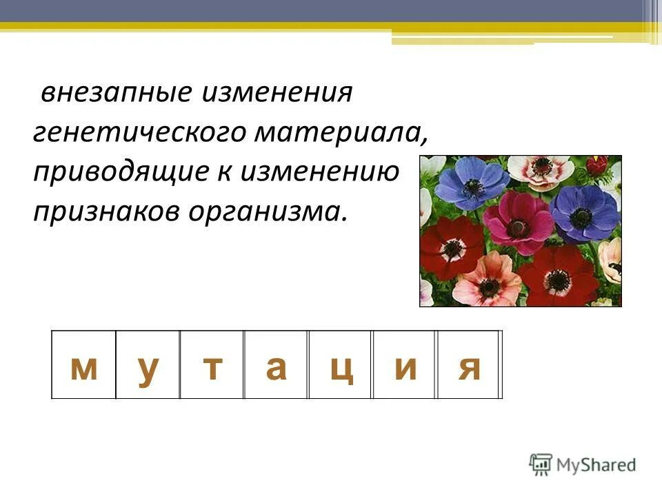 Изменчивость наследственная мутационная и. Наследственная изменчивость виды наследственной изменчивости. Внезапные изменения в наследственном материале. Наследственные изменения генетического материала. Внезапные изменения в наследственном материале.