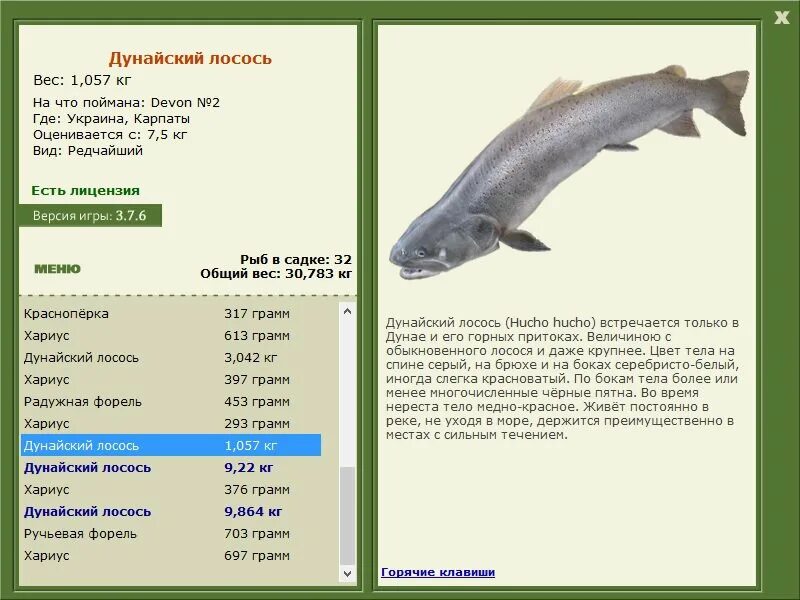 русской рыбалке 3 7 5. русской рыбалке 3 7 5. русская рыбалка 3. голавль вес. голавль рыба рр3.