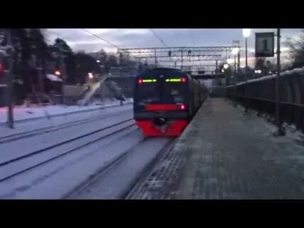 Электрички пушкино лось
