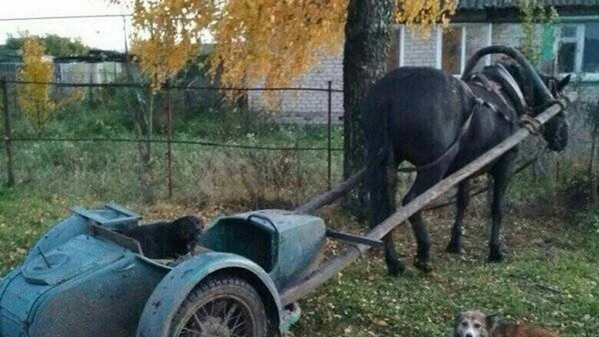 Автомобиль запряженный лошадью. Телега с лошадью. Телега из автомобиля. Повозка из автомобиля.