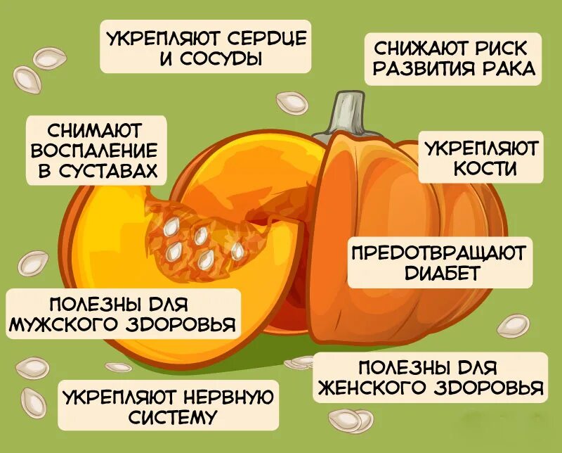 Тыква слабит. Чем полезна тыква. полезные вещества в тыкве. польза тыквы. тыква полезные свойства.