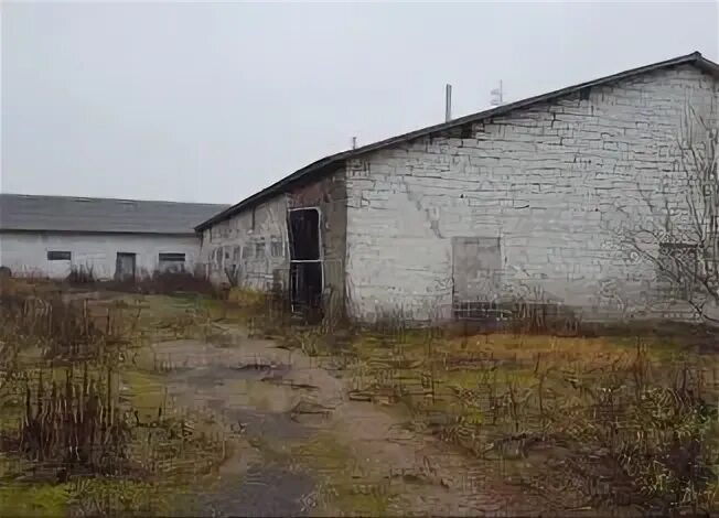 Авито здания