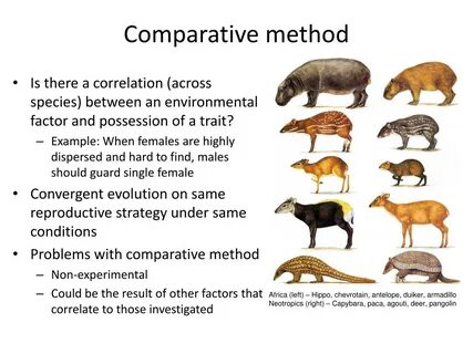 Comparative studies