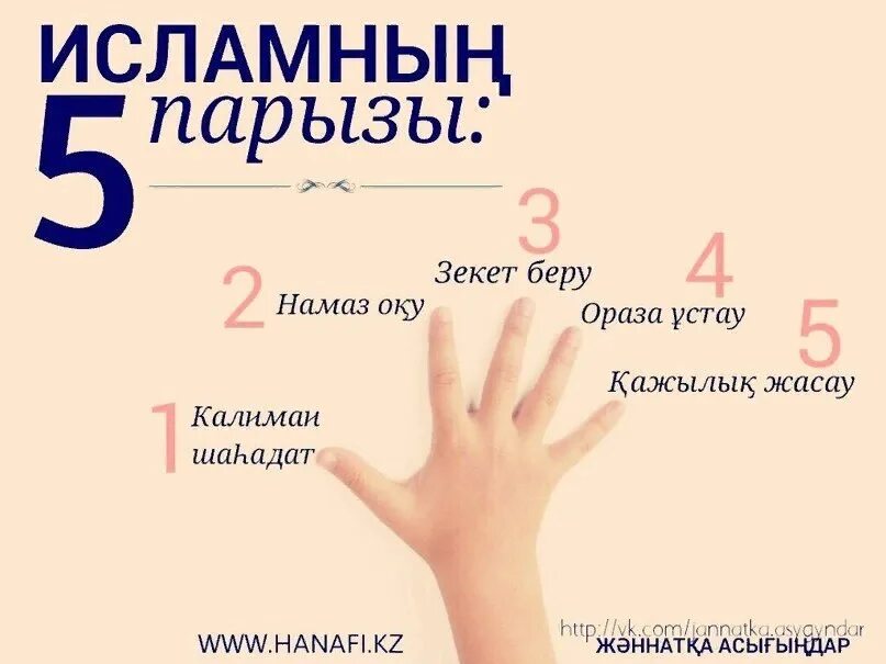 Намаз оқу үлгісі әйелдерге. Тан намазы. 5 Парызы. Мусульман парызы. 5 Парыз мусульманина.