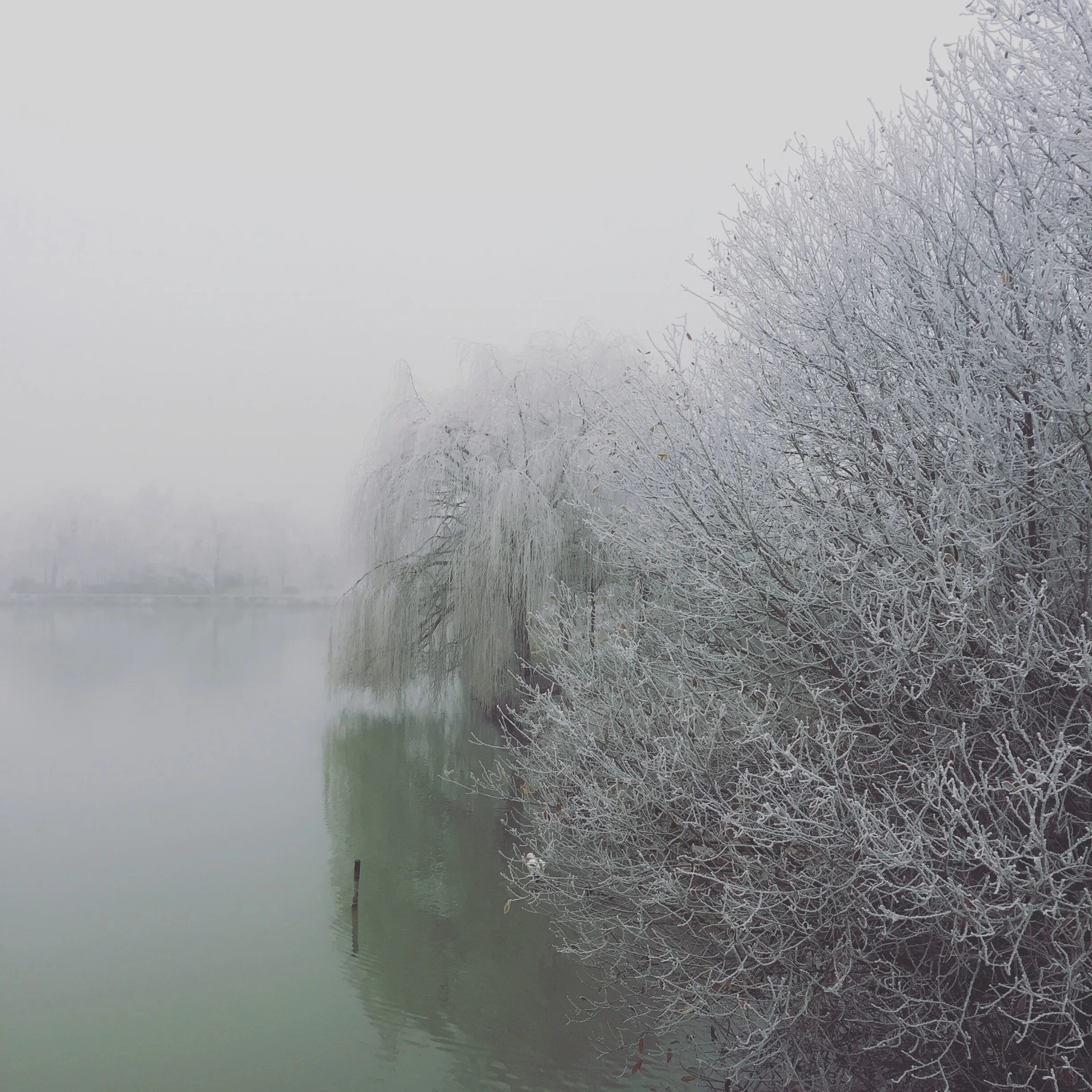 Зима туман. Метель. Song of the silent snow. Winter brume. Зима туман.