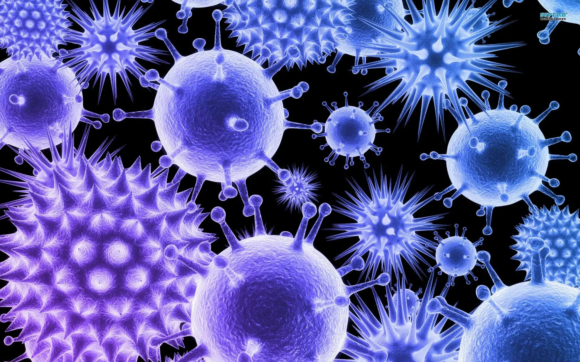 Вирусы различных заболеваний. Вирус коронавирус микробиология. Коронавирус микробиология. Вирусы картинки. Красивые вирусы.