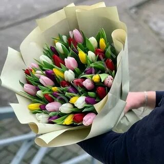 Заказ тюльпанов