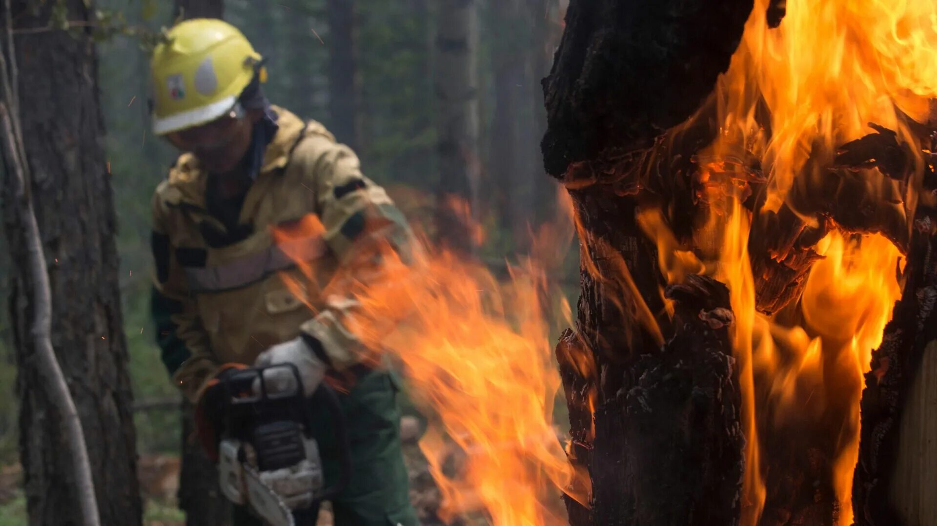 Пожар риа новости. Пожары в Якутии 2021. Лесные пожары в Якутии 2021. Пожары в Якутии. Огонь пожар.