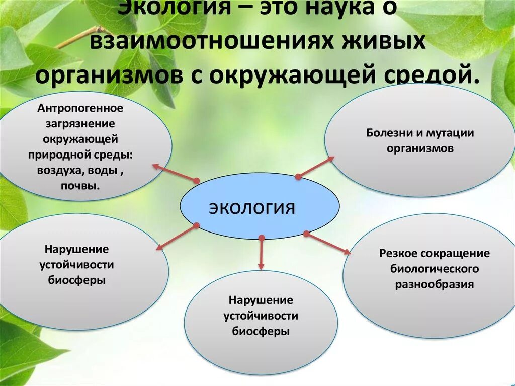 Проблемы изучения экологии. Экология это наука. Экология это наука изучающая. Экология хто. Все про экологию.