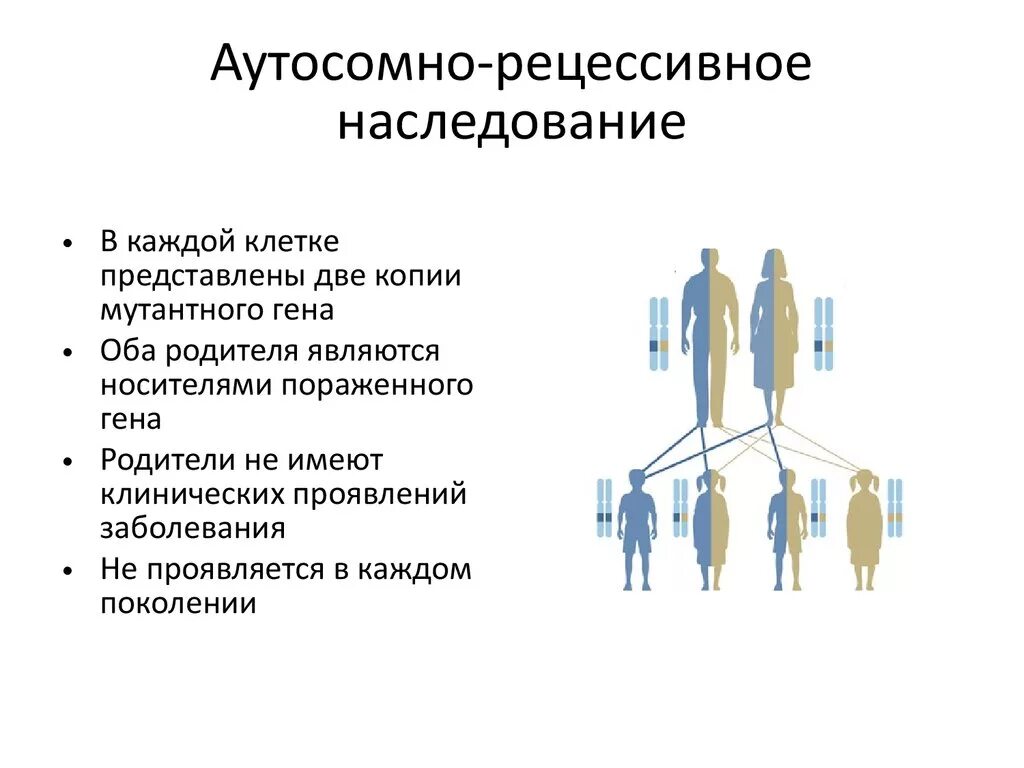 Аутосомное наследование пример. Аутосомно-рецессивный Тип наследования. Аутосомно-рецессивный Тип наследования заболевания. Типы наследования признаков аутосомно рецессивный Тип наследования. Признаки, характеризующие аутосомно-рецессивный Тип наследования.