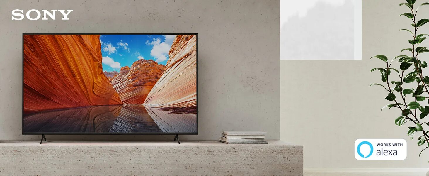 Телевизоры sony 2024. Sony KD-65x81j. Sony KD-65x81j, 65″. Sony Bravia KD-50x81k. Sony KD-50x81j 2021 led, HDR.