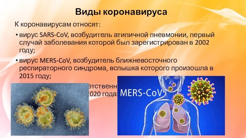 Коронавирус семейство вирусов. Коронавирус SARS-cov-2 относится к роду. Возбудитель коронавируса. Вирус SARS-cov. Коронавирус человека sars