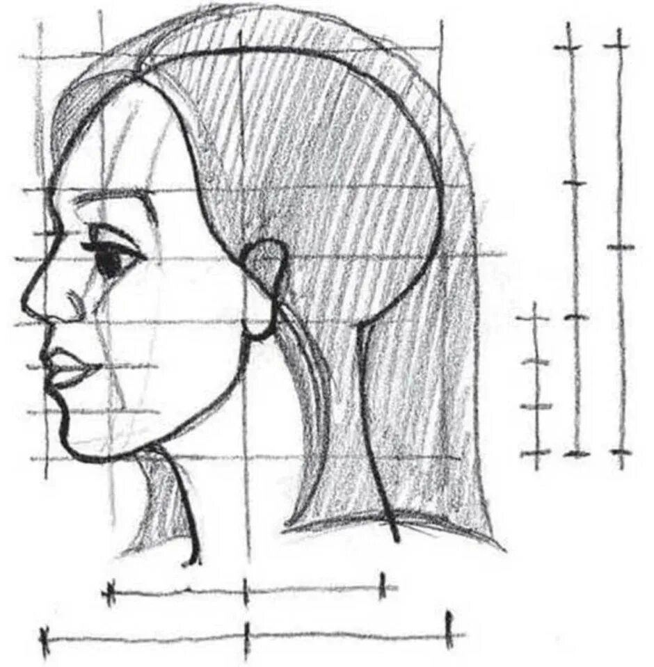 Пропорции лица человека в профиль. Рисование портрета в профиль. Рисование лица в профиль. Рисование головы с боку. Профиль поэтапно