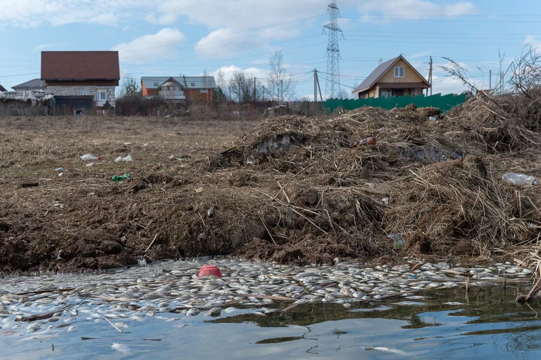 Экология московской области 2023. Экологическое Подмосковье. Экология Москвы реки. Экология Подмосковья. Загрязнение Подмосковья.