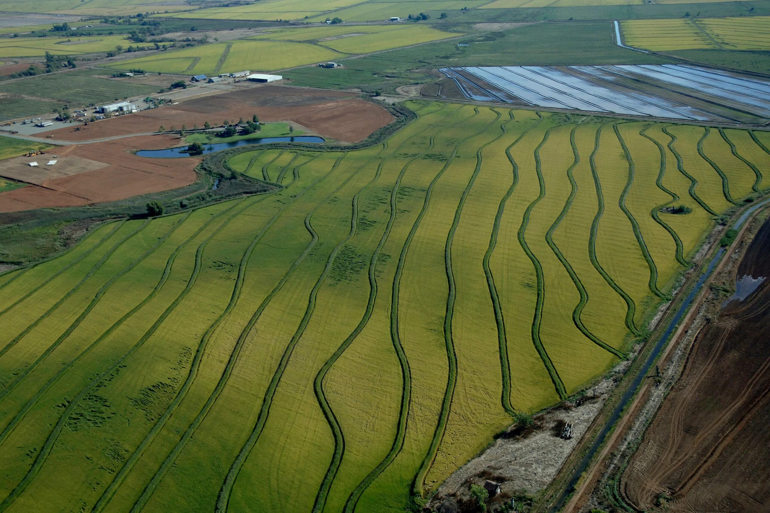 Fields area. Земельные ресурсы Бразилии. Watershed. Rice field. Aksu Watershed.