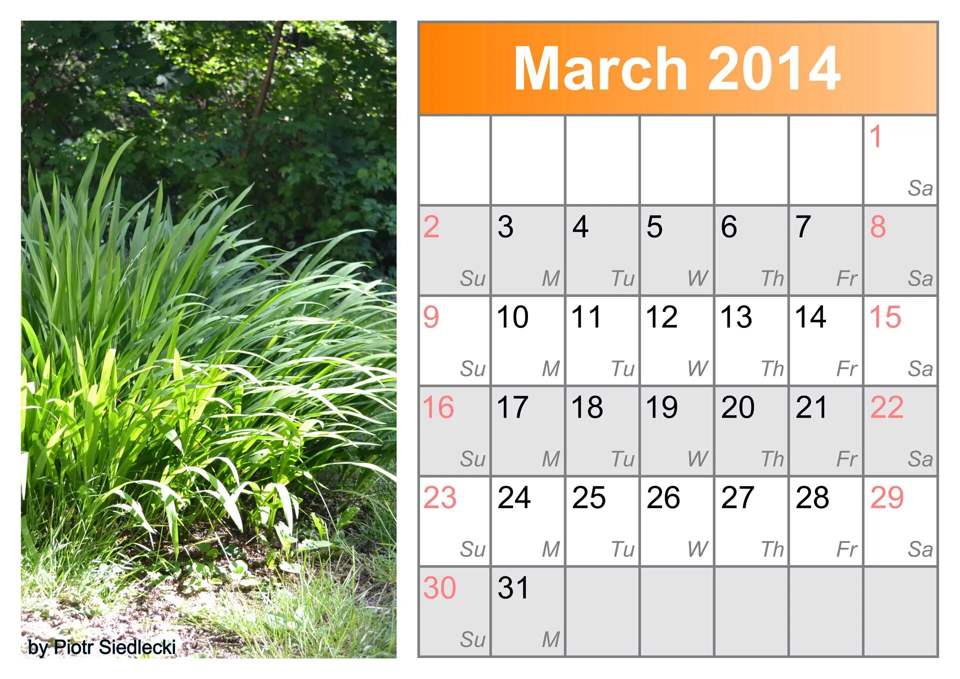 Календарь март 2014 года. Календарь на месяц. Календарь на март месяц. Март 2014 года календарь.