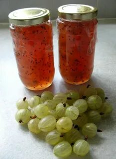Что сделать на зиму из крыжовника рецепты