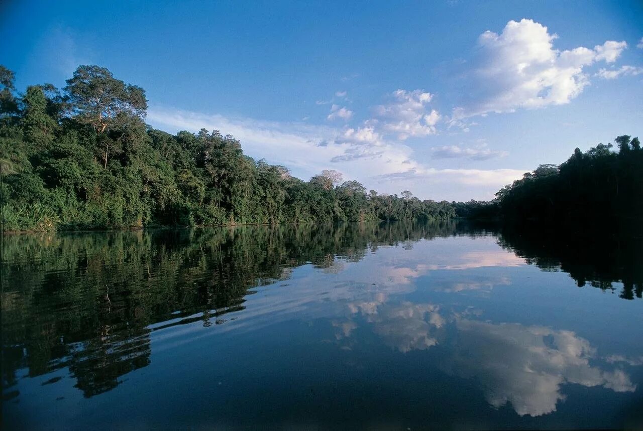 Многочисленные реки именно с таким названием. Река Амазонка. Исток реки Амазонка. Фотографии амазонки реки. Река Амазонка фото.