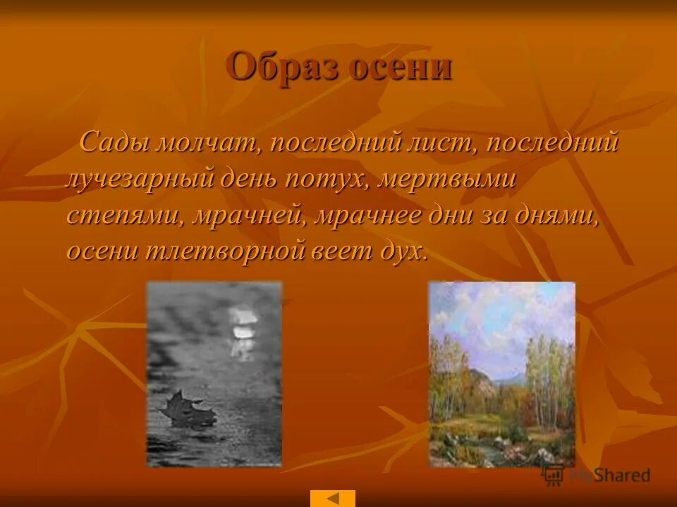 поместье хиллсборо калифорния. сады молчат. ботанический сад партер. сады молчат. екатерининский парк пергола.