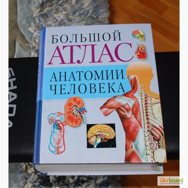 Атлас студентам анатомии. Атлас анатомии человека Воробьев/ Синельников. Большой атлас анатомии человека Воробьев в.п. Атлас по анатомии Воробьев. Атлас анатомии человека Воробьев в п.