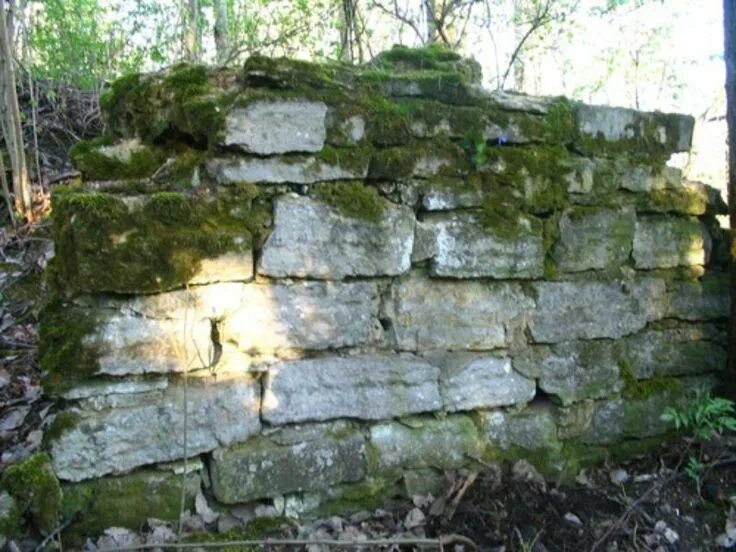 Любшанская крепость старая ладога. Любшанская каменно-земляная крепость. Старая ладога городище. Раскатная башня старая ладога. Любшанская крепость старая.