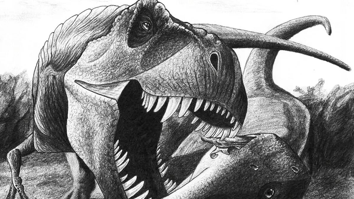 Хищный динозавр 12 букв. Эдмонтозавр шрам. Тираннозавр рекс хищник. Динозавры хищники. Плотоядные динозавры.