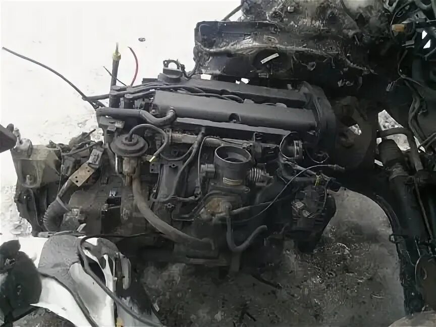 Hyundai getz 1. Кпп хово 9 ступка. Sofim 8140 2,5d. Двигатель suzuki gsx r600 k3. Гидрокомпенсаторы бмв n52b25.