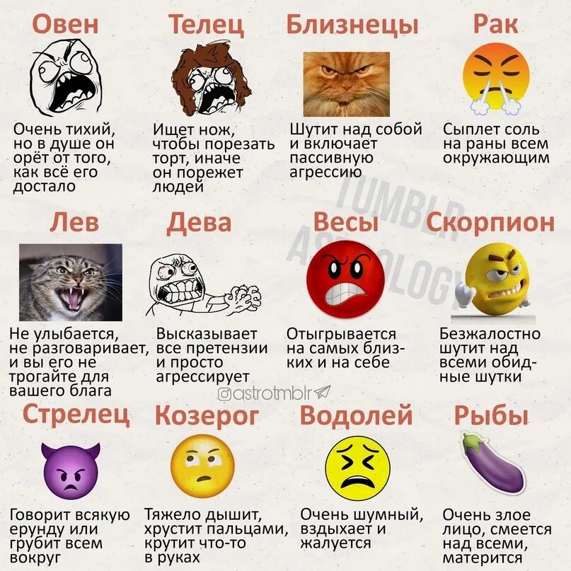 Кто первый по знаку зодиака. Гороскоп. Знаки зодиака кто есть кто. Знаки зодиака. Кто первый по знаку зодиака.