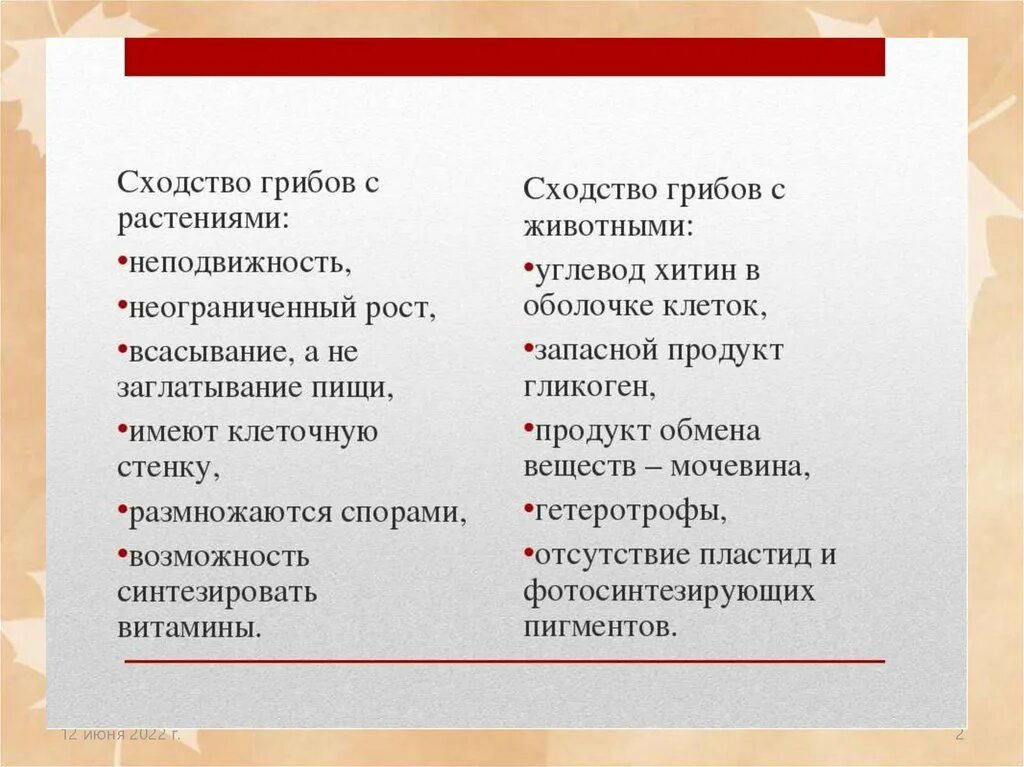 Сходством грибов с растениями является. Сходство и различие грибов с растениями и животными. Сходство грибов с растениями. Сходство грибов с растениями и животными. Сходство грибов с растениями и животными таблица 5 класс.