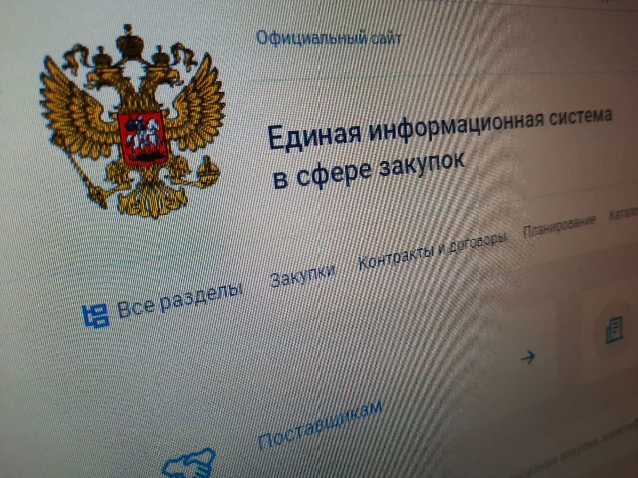 ЕИС. ЕИС госзакупки. Единая информационная система. Закупки гов значок.