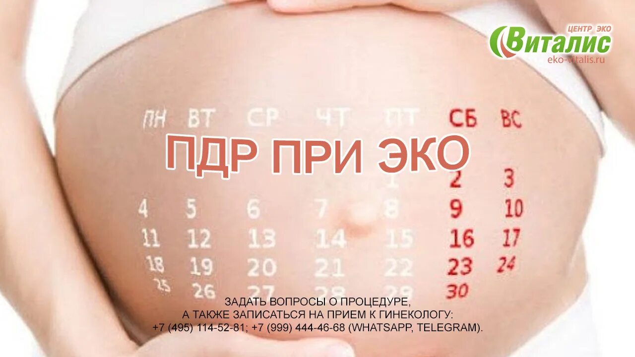 Предполагаемая дата зачатия. Срок беременности. Предполагаемая Дата родов. Календарь расчета беременности и родов. Картинка предполагаемая Дата родов.