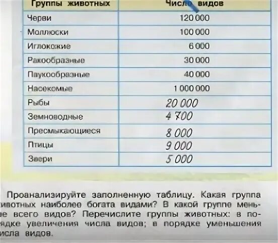 Проанализируйте заполни