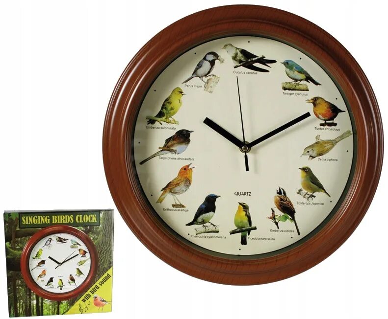 Часы пение птиц. Часы настенные "птица". Часы с птичками настенные. Часы настенные птичьи трели. Часы с пением птиц настенные.