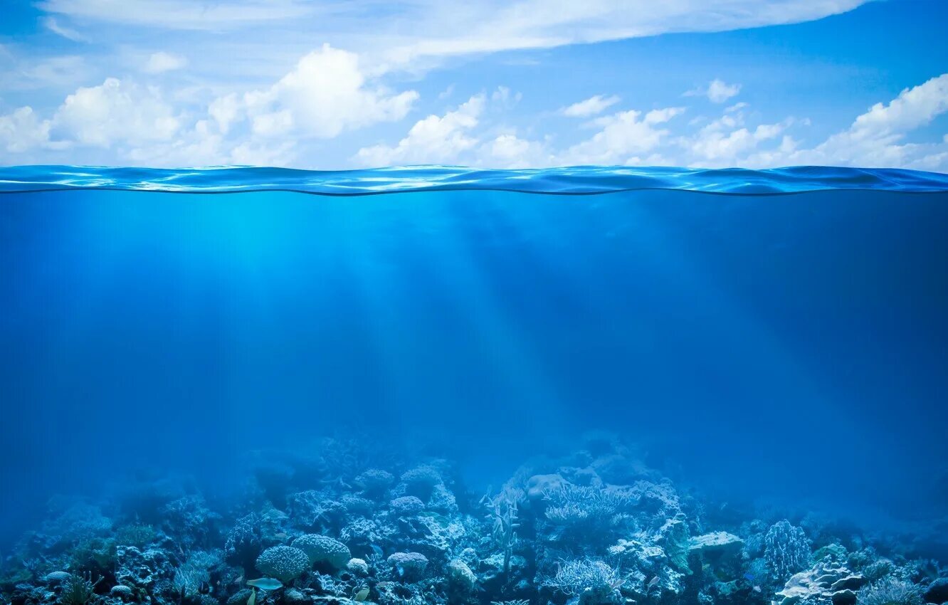Океан под дном океана. Рифы в океане. Дно океана. Океан под водой. Дно моря.