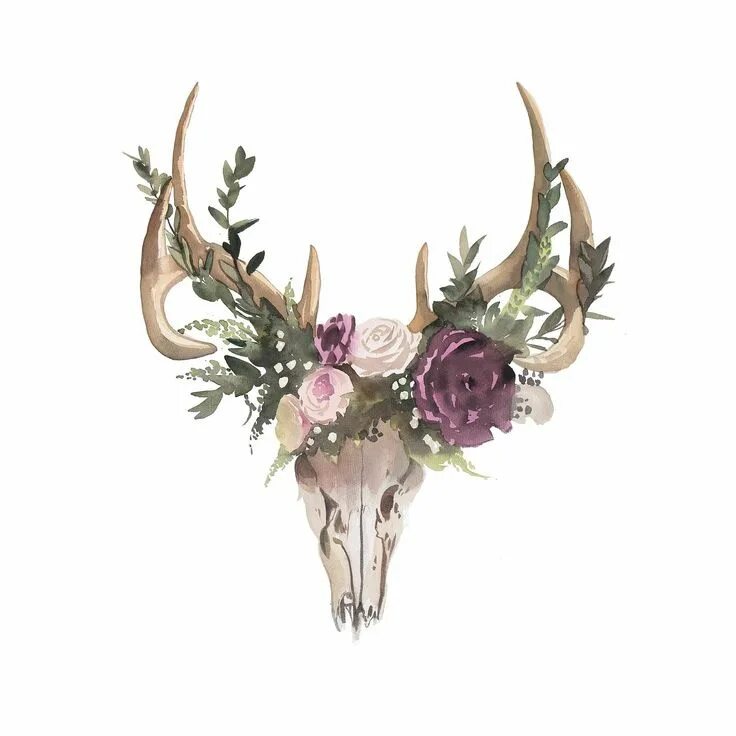 Deer studio