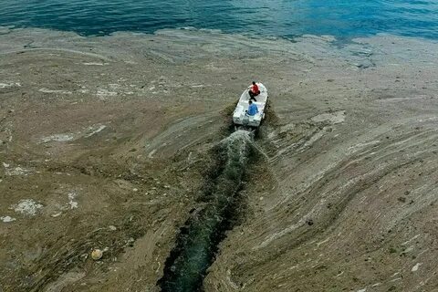 Белое море турция