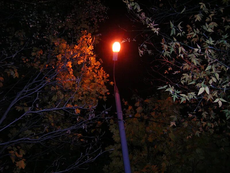 Была темная осенняя ночь. Ночь осенью. Осень ночь. Осенняя ночь в городе. Осенняя ночь.