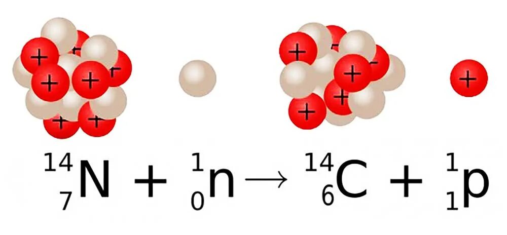 Бета распад азота. Изотопы углерода. Распад углерода 14. Бета распад углерода.
