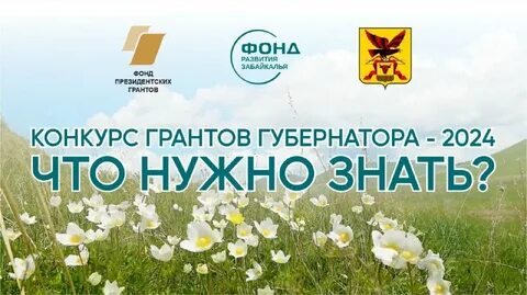 Посевной забайкалье 2024