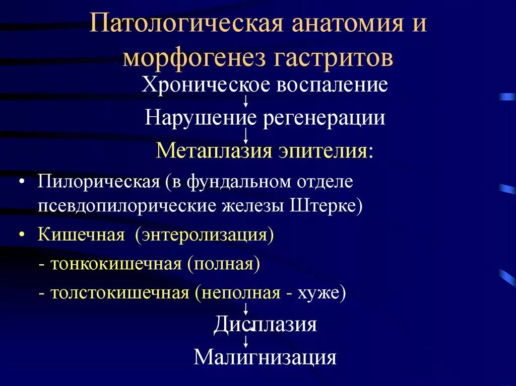 Механизмы развития воспаления патанатомия. Гастрит патанатомия гастрит патогенез. Хронический гастрит патанатомия. Гастрит патологическая анатомия.