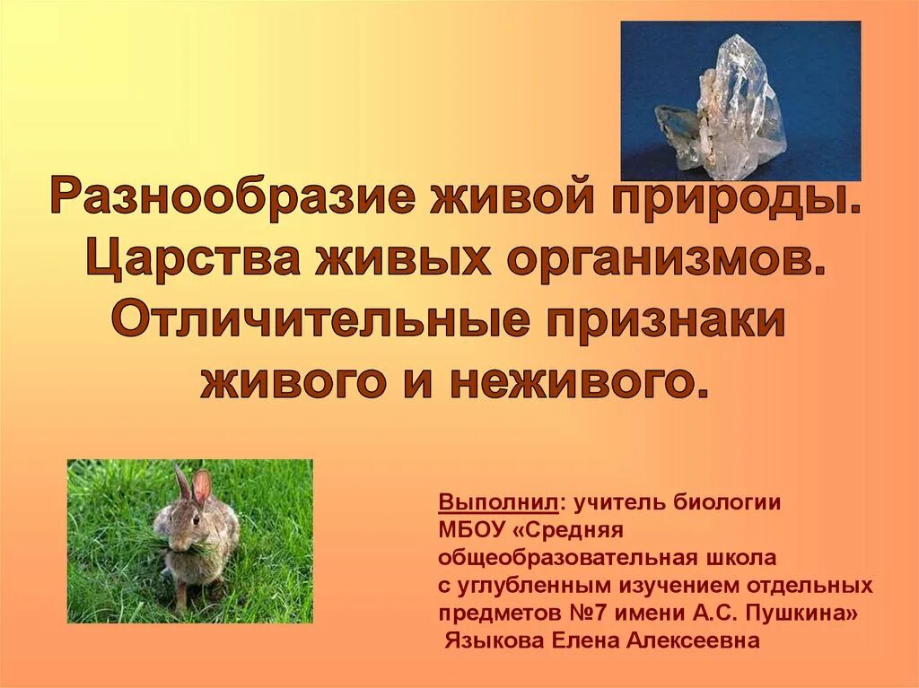 Характерные особенности живого. Разнообразие живой природы. Разнообразие живой природы царство. Разнообразие живой природы царства живых организмов. Разнообразие живой природы презентация.