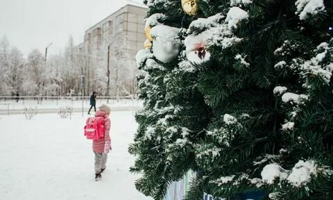 Весь петрозаводск