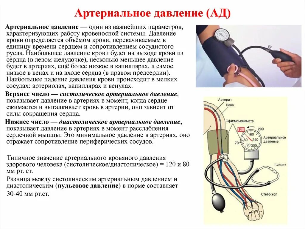 Какое определение давление. Определить параметры кровяного давления. Понятие об артериальном давлении. Методика измерения ад.. Артериальное давление анатомия. Величины артериального и венозного давления.