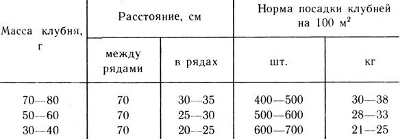 Какое расстояние рядов при посадке картофеля. Какое расстояние посадки картофеля между рядами. Посадка картофеля схема посадки картофеля. Сколько расстояние между рядами картошки при посадке. Посадка картошки расстояние между рядами.