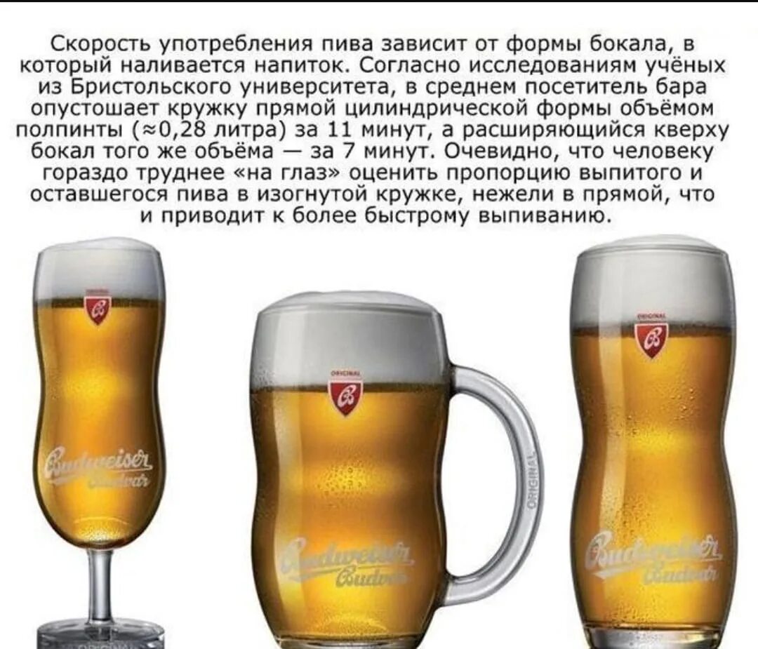 Budweiser Budvar бокал. Кружка Будвайзер пивная. Бокал Будвайзер 0.5. Пивной бокал Будвайзер. Почему пиво назвали пивом