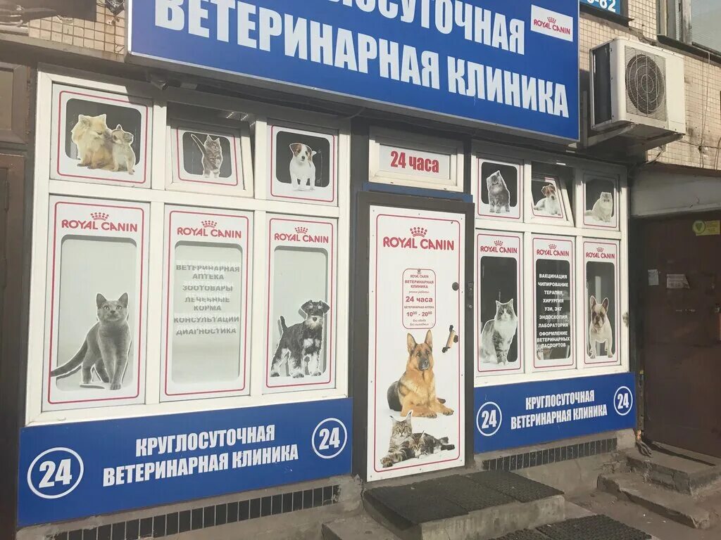 вега ветеринарная клиника спб планерная. бухарестская 122 ветеринарная клиника доктора сотникова. ситивет ветеринарная клиника. ветеринарная клиника выборгского района спб. зооклиника спб.