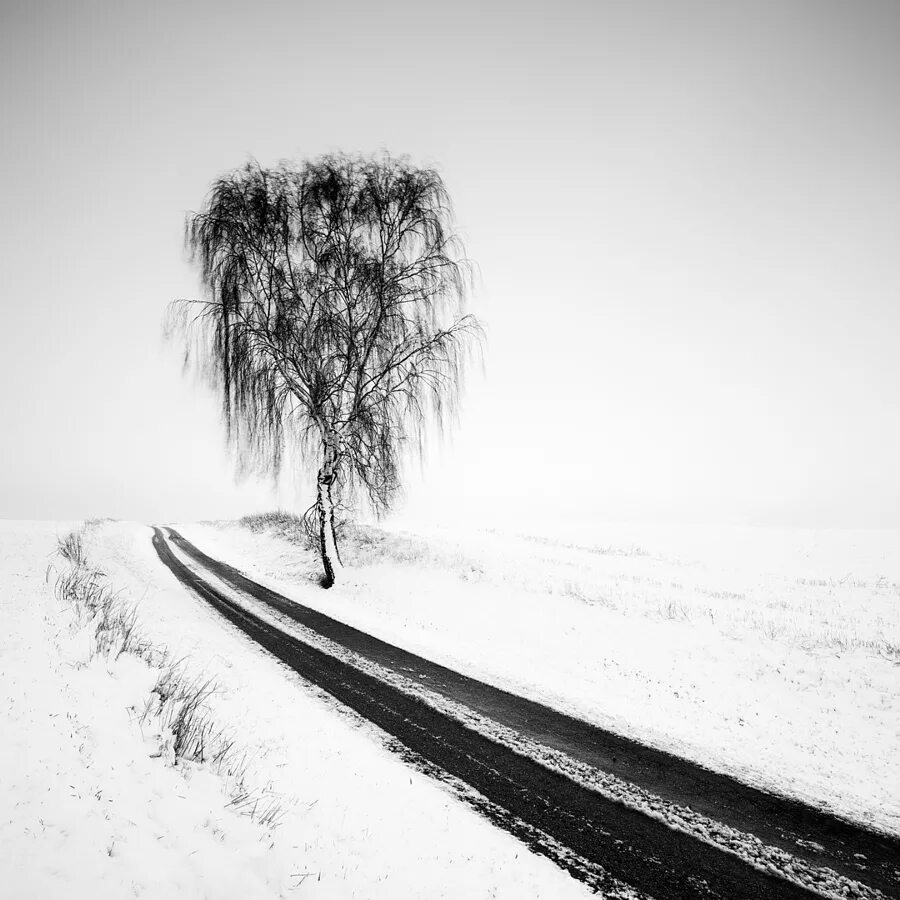Черно белые картинки. Одиночество дорога зима. Черно белые картины. Черное и белое картинки.