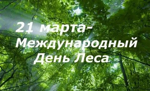 Картинка день лесов
